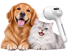 Pet Steam Brush