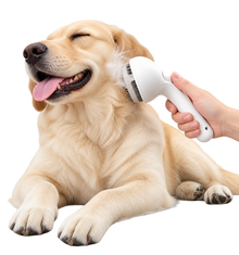 Pet Steam Brush