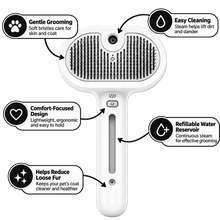 Pet Steam Brush